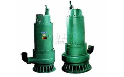 BQS15-45-5.5/N������ˮ��