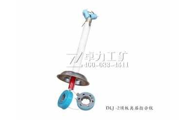 DLJ-2픰��x��ָʾ�x