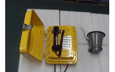 ���F�U���Ԓ�C